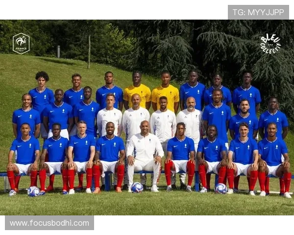 亨利在足球场上的独特魅力与卓越技能分析